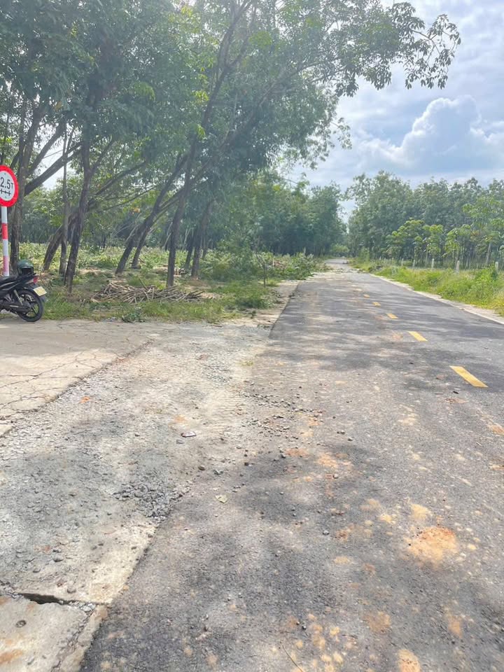 Đất thổ cư Chánh Phú Hòa, Bến Cát 160m² giá 1 tỷ - Đường nhựa 7m thông thoáng!