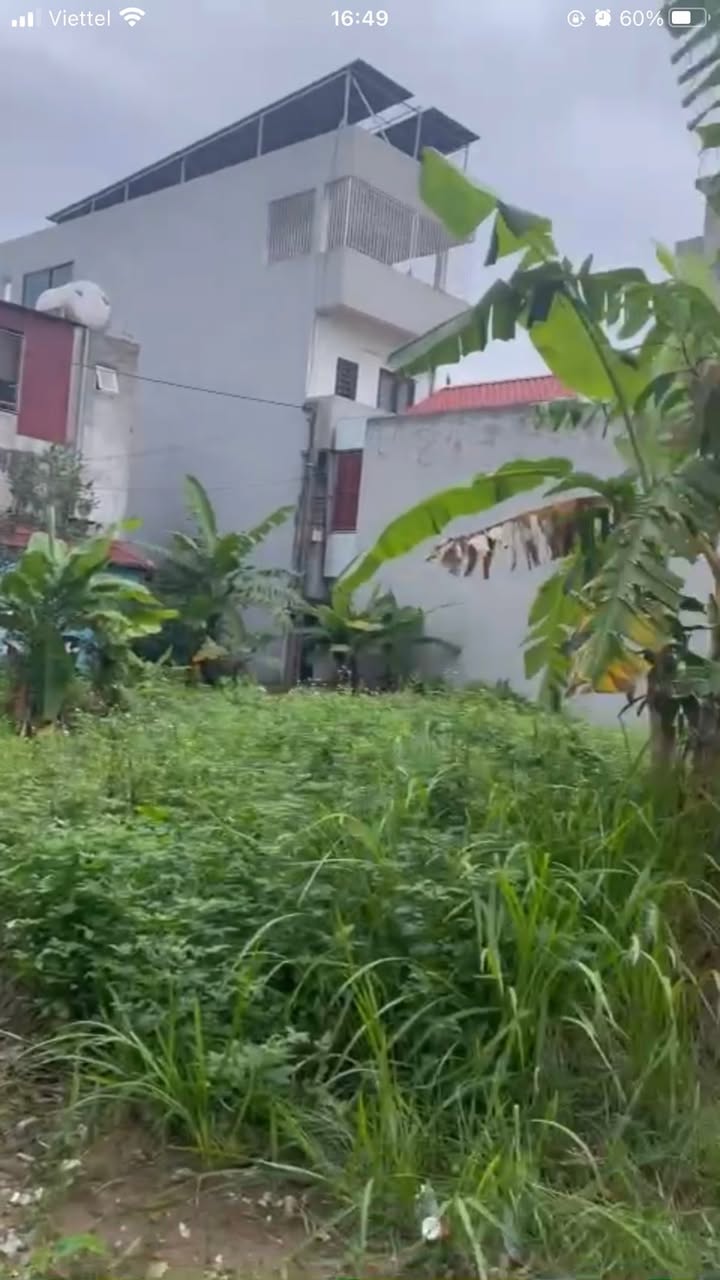 Đất nền Tứ Kỳ 75m² - Cách đường 319 chỉ 150m, giá thỏa thuận!