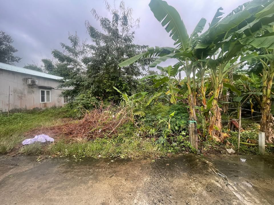 Đất nền Hòa Khánh, Đà Nẵng 150m² giá 1.65 tỷ - Cao ráo, thoáng mát!