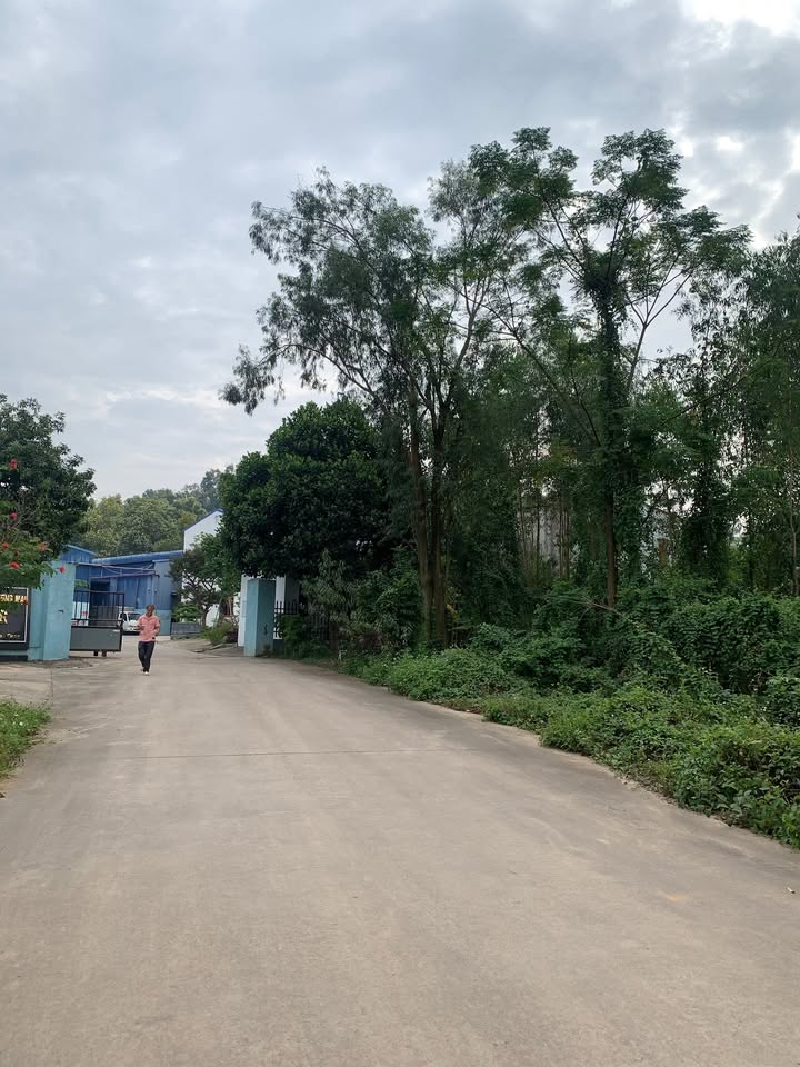 Đất nền Song Mai Bắc Giang 162m² giá 1 tỷ - Nở hậu, vị trí đắc địa!