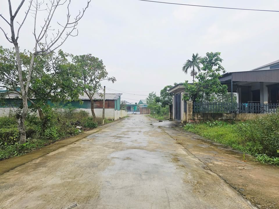 Đất thổ cư thôn Tân Hòa, Tân Lâm Hương, Thạch Hà 148m² - Đường bê tông 8m, giá cực tốt!