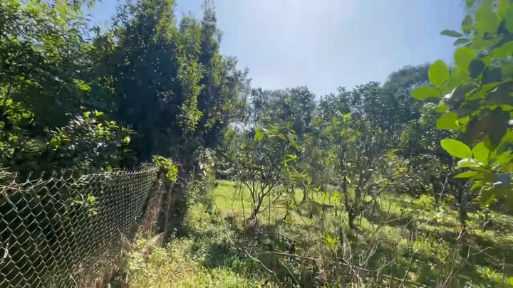 Đất thổ cư 200m² tại trung tâm thị trấn Sông Cầu Đồng Hỷ, Thái Nguyên - Giá chỉ 3 tỷ!