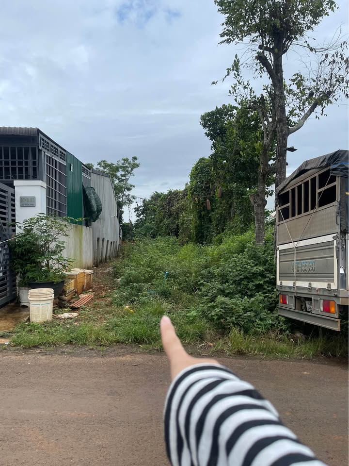 Đất nền Cư Ebur 205m² giá 1.55 tỷ - Vị trí vàng đầu tư tại Buôn Ma Thuột!