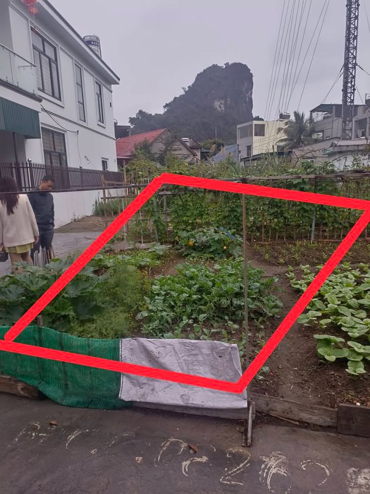 Đất nền 2 mặt tiền ngõ 10 Vũ Văn Hiếu, 60m² giá 900 triệu - Đầu tư sinh lời lý tưởng!