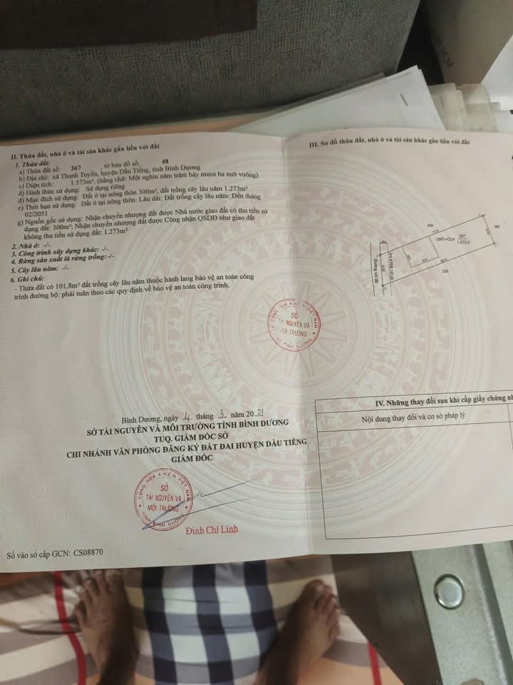 Đất thổ cư 300m² tại Thanh Tuyền, Dầu Tiếng giá 5.99 tỷ - Cơ hội đầu tư hấp dẫn!