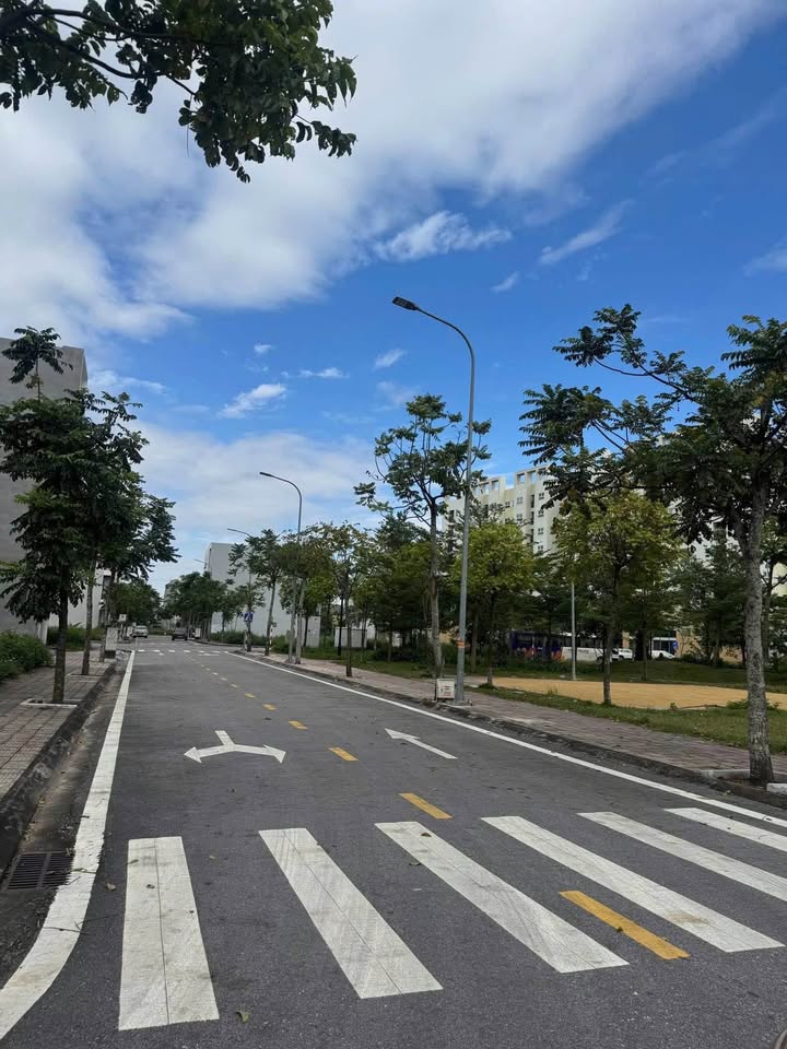 Đất nền Khu C đô thị Vũ Phúc 63m² giá 3.1 tỷ - Hướng Đông tài lộc