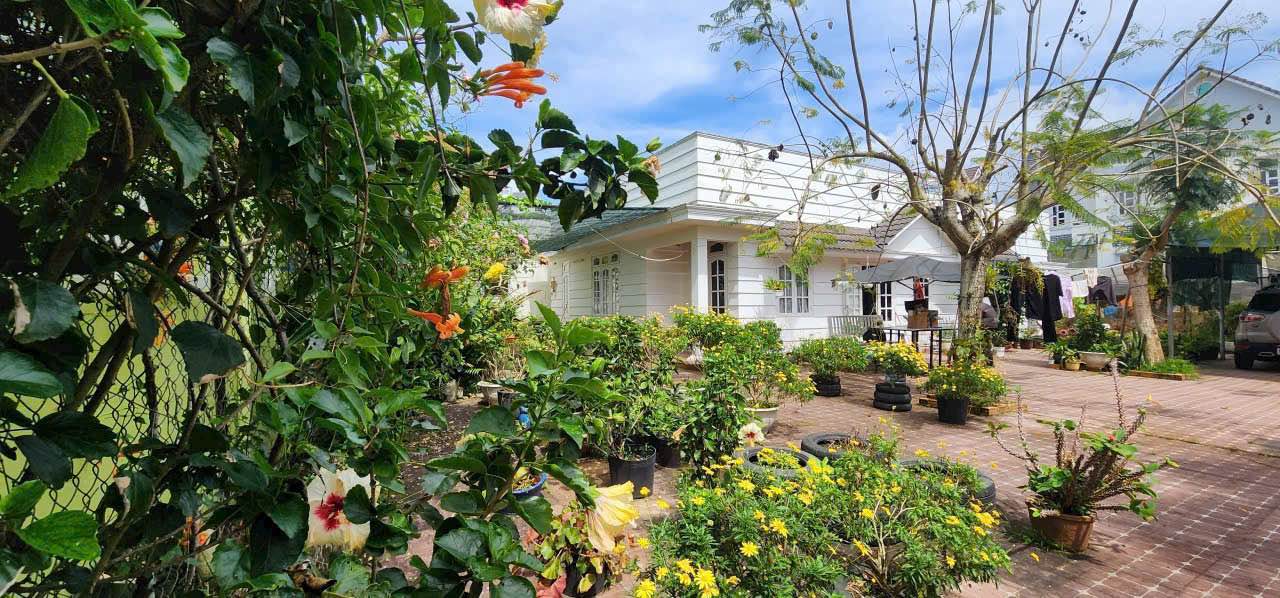 Nhà xưa sân rộng Hồ Xuân Hương 556m² giá 15 tỷ - Không thể bỏ lỡ!