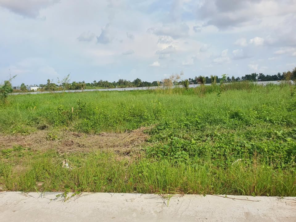 Bán đất thổ cư Thạnh Hưng, Châu Thành, 171m² - Đầu tư sinh lời ngay!