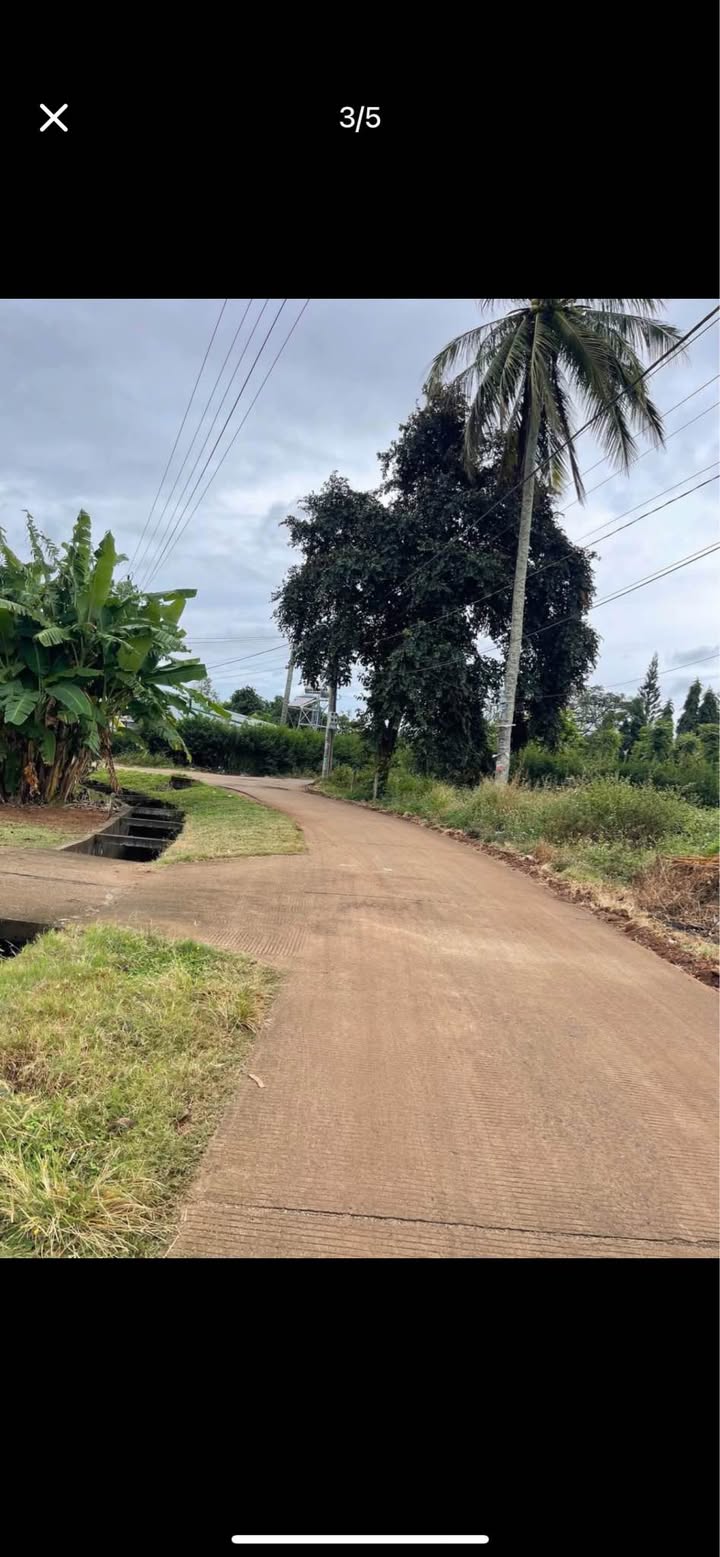 Đất nền đường Tố Hữu, Hòa Khánh 100m² giá 830 triệu - Đầu tư sinh lời ngay!