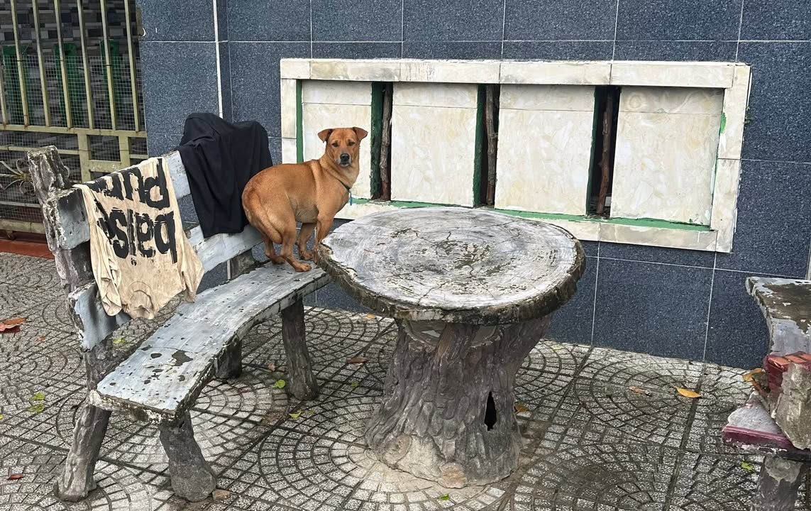 Đất mặt tiền Thanh Hà, Hội An 135.6m² giá 2.6 tỷ - Tiềm năng đầu tư lớn!