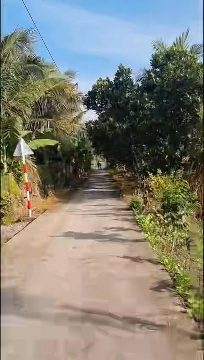 Đất thổ cư Nhị Mỹ, Cai Lậy 500m² giá 580 triệu - Cơ hội đầu tư tuyệt vời!