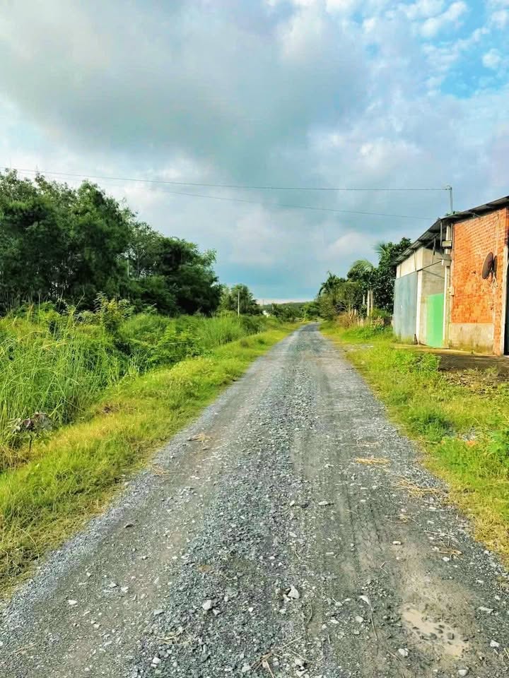 Đất lúa Xã Nhuận Đức, Củ Chi 3768m² - Đầu tư lý tưởng cho tương lai!