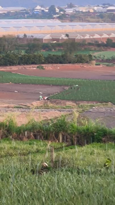 Đất mặt tiền đường DH12 Đơn Dương 1000m² giá 7.75 tỷ - Bán gấp chính chủ!