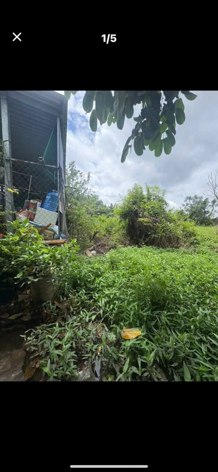 Đất thổ cư Đức Hoà Hạ 310m² giá 2.1 tỷ - Gần chợ Đồn Tân Đức!