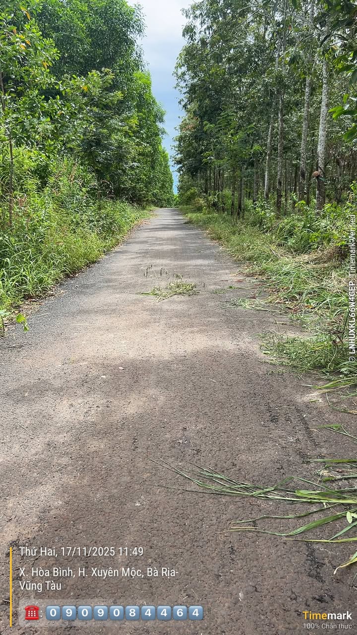 Đất nền Hòa Bình, Châu Đức 5400m² giá 3.25 tỷ - Mặt tiền nhựa 85m