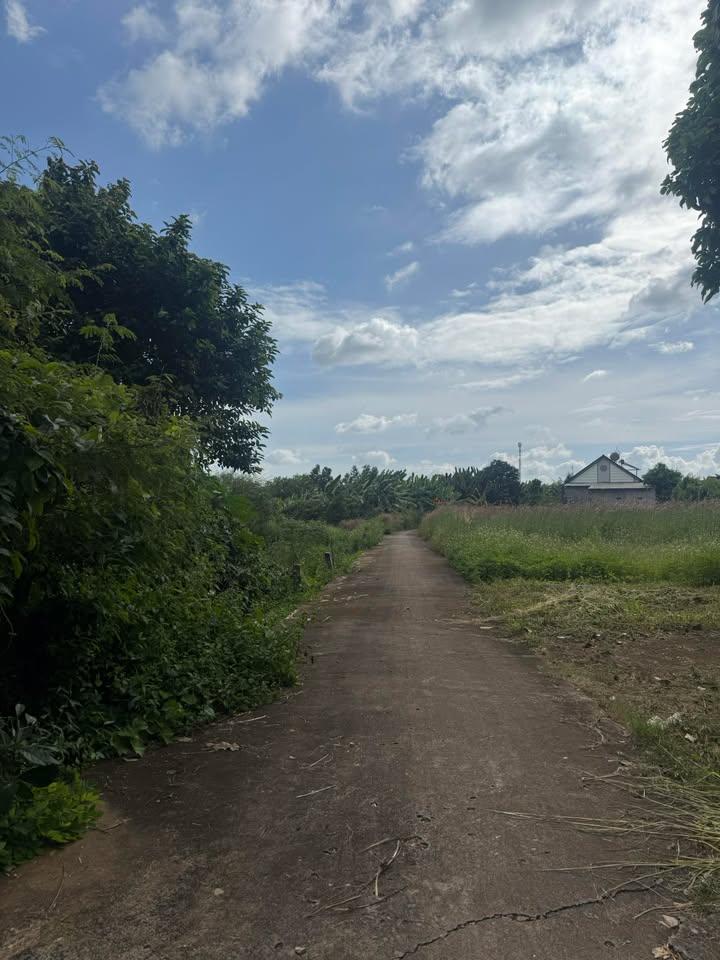 Đất nền Nghĩa Thành 139m² giá chỉ 680 triệu - Cơ hội đầu tư hấp dẫn!