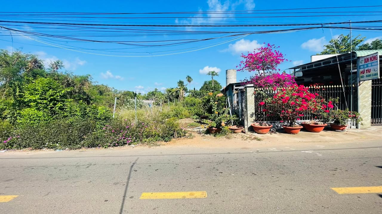 Đất nền Đất Đỏ Bà Rịa - Vũng Tàu 168m² giá 1.45 tỷ - Sổ đỏ chính chủ!