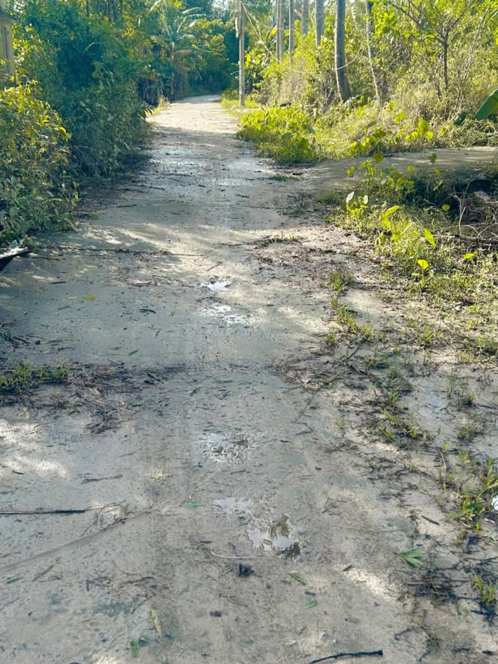 Đất mặt tiền đường bê tông 120m² tại Thăng An - Đầu tư sinh lời lý tưởng!