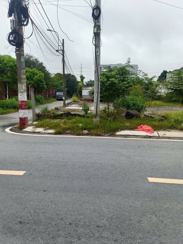 Đất nền mặt tiền đường Huỳnh Thị Mài, Tân Hiệp, 110m² giá 3.5 tỷ - Cơ hội đầu tư hấp dẫn!