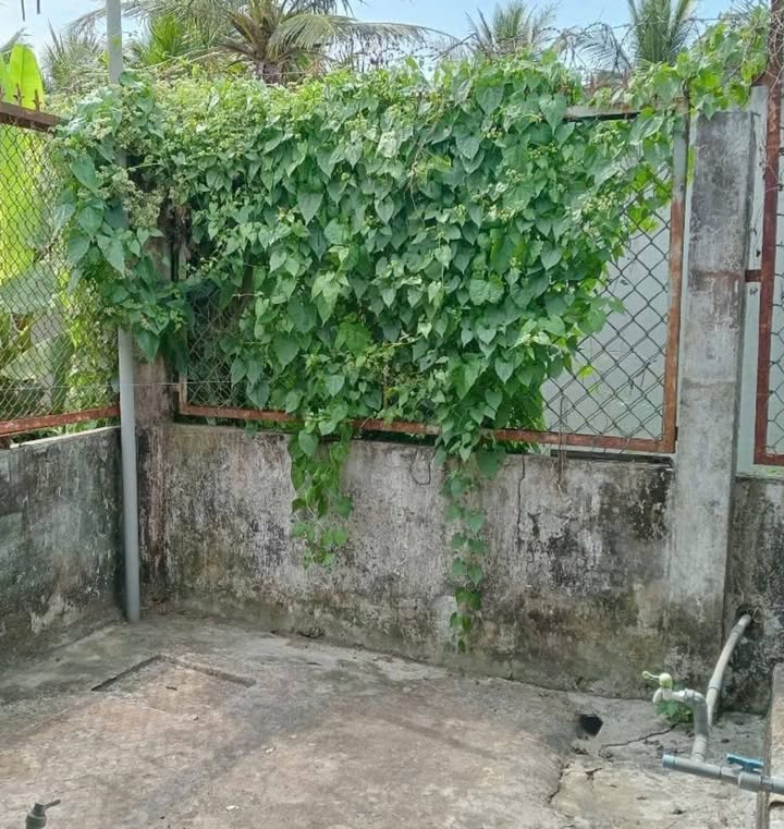 Nhà cho thuê Phường Phú Tân - TP Bến Tre 120m² giá 4 triệu - Mặt tiền đường ô tô