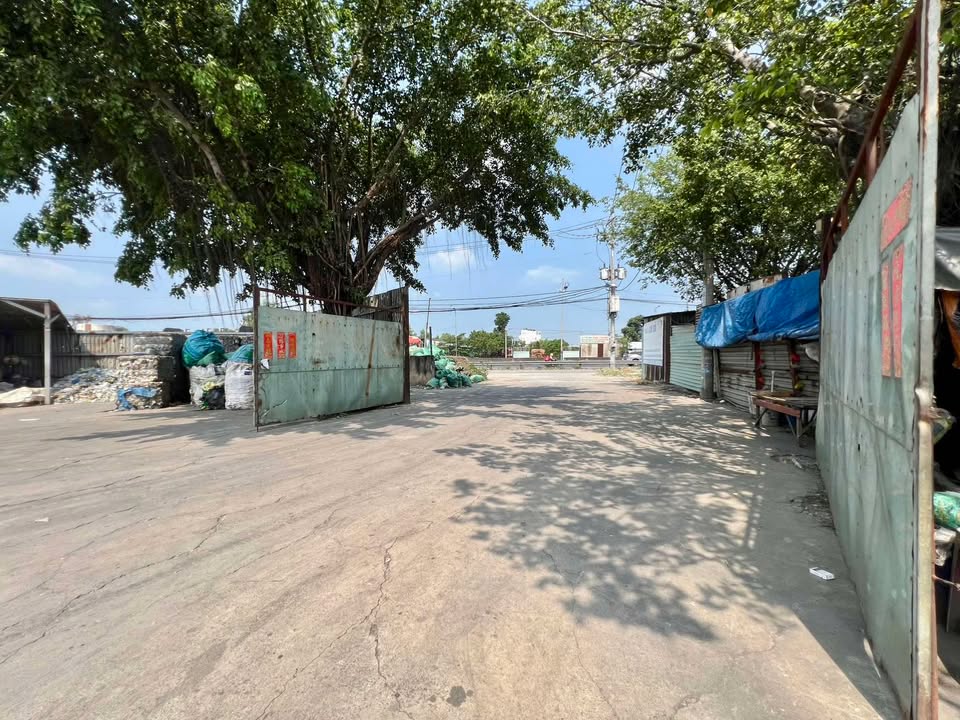 Đất nền Tân Tạo A, Bình Tân 8434m² - Sổ đỏ chính chủ, giá thỏa thuận!