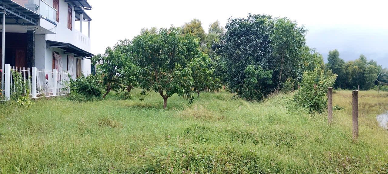 Bán đất thôn Lạc Bình, xã Bắc Ninh Hòa 455m² - Sổ đỏ chính chủ, giá tốt!