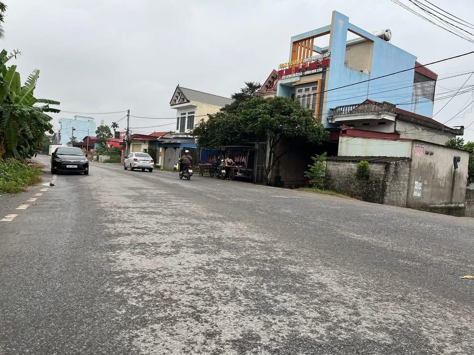 Đất nền Tiên Lãng 100m² giá 2.7 tỷ - Vị trí đắc địa kinh doanh sinh lời!