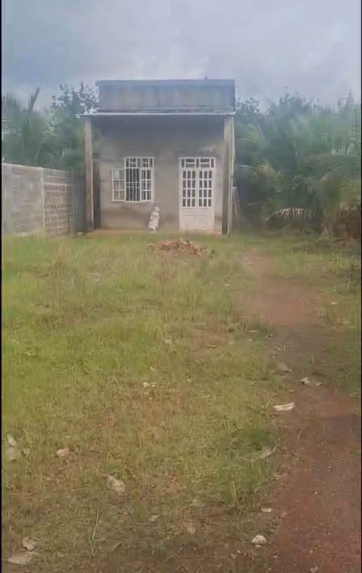 Đất nền Phước Tân, Phú Riềng 420m² giá 600 triệu - Đường bê tông thông thoáng!