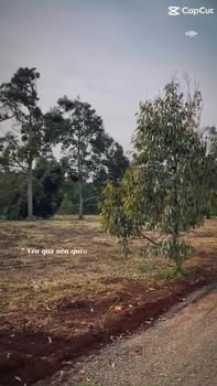 Đất nền Tân An, Buôn Ma Thuột 500m² giá chỉ 600 triệu - Cơ hội đầu tư hấp dẫn!