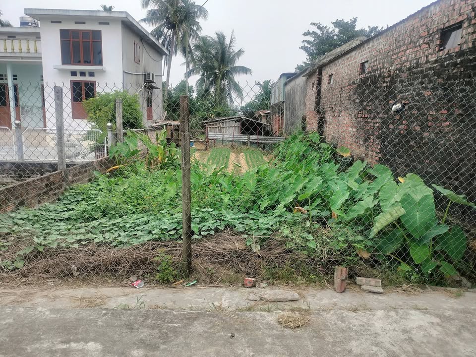 Đất thổ cư tại Tẩm Thượng, Vĩnh Bảo 138m² giá chỉ 9xx triệu - Tiềm năng đầu tư hấp dẫn!