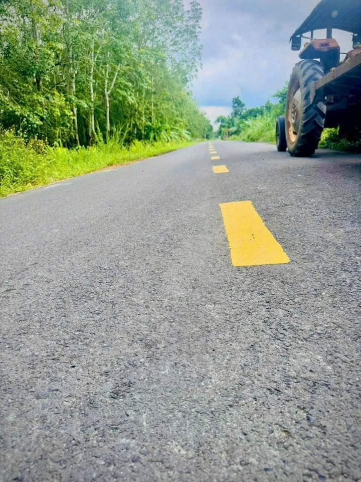 Đất nền Củ Chi 240m² giá 2.3 tỷ - Đầu tư sinh lời hấp dẫn!