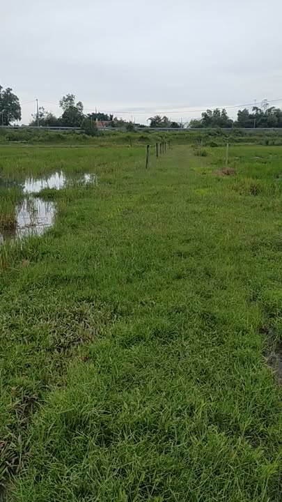 Đất nền 500m² tại Trung Lập Thượng, Củ Chi - Gần Kênh Đông, giá thỏa thuận!