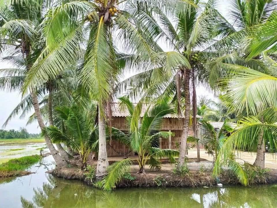 Đất nền thổ cư Trường Long, Cần Thơ 80m² giá chỉ 300 triệu - Cơ hội đầu tư hấp dẫn!