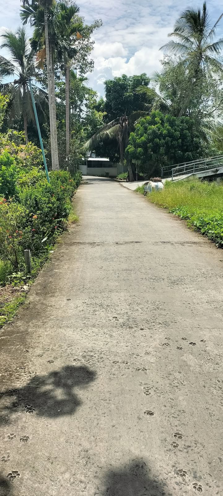 Đất thổ cư Trường Long, Phong Điền 1211m² giá chỉ 1.45 tỷ - Cơ hội đầu tư lý tưởng!