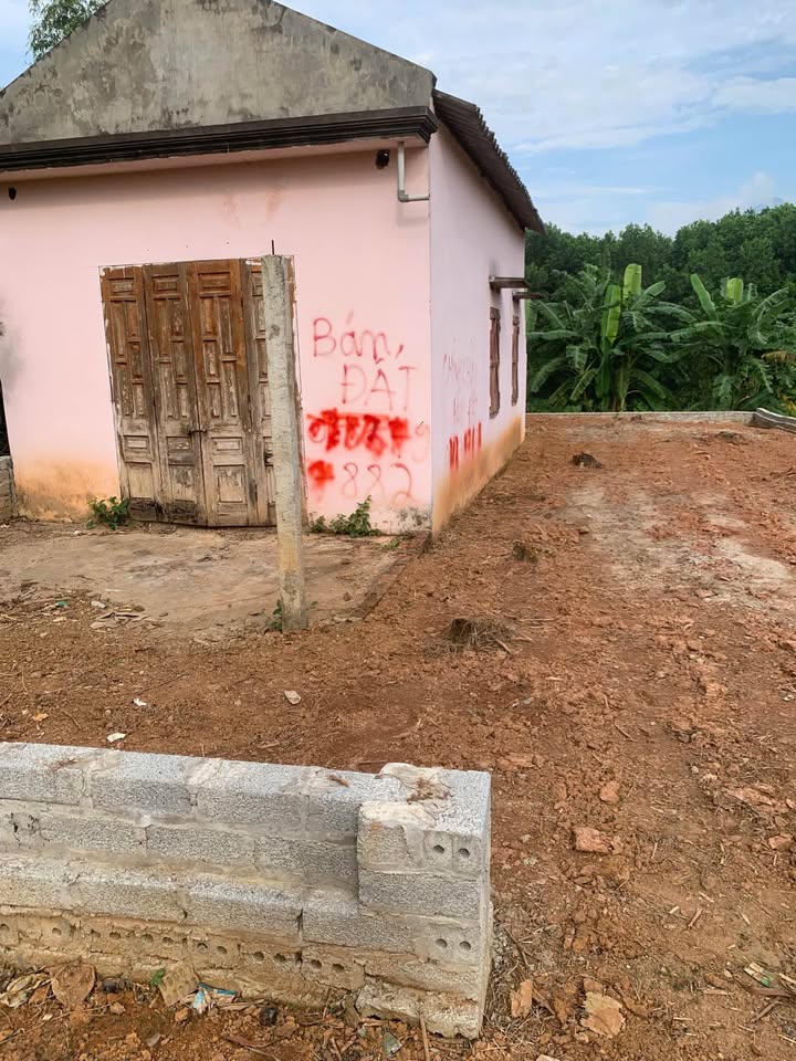 Đất thổ cư Tu Vũ - Thanh Thủy 203,5m² giá chỉ 1 tỷ - Cơ hội đầu tư lý tưởng!