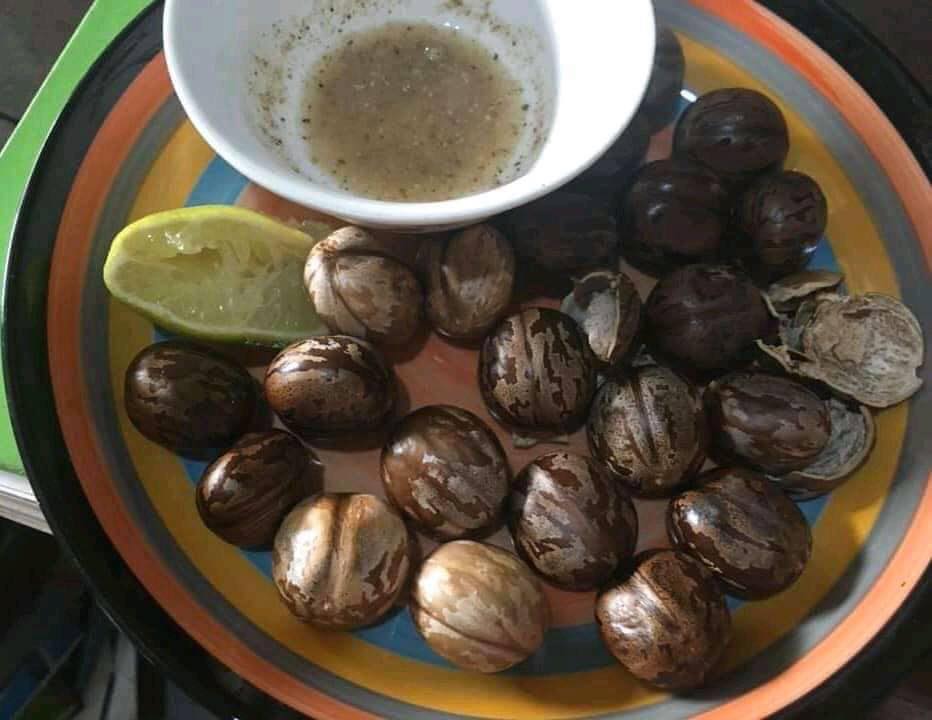 Đất thổ cư 200m² mặt tiền đường nhựa xã Đức Hạnh 28.000m² giá 8 tỷ - Đầu tư sinh lời lý tưởng!