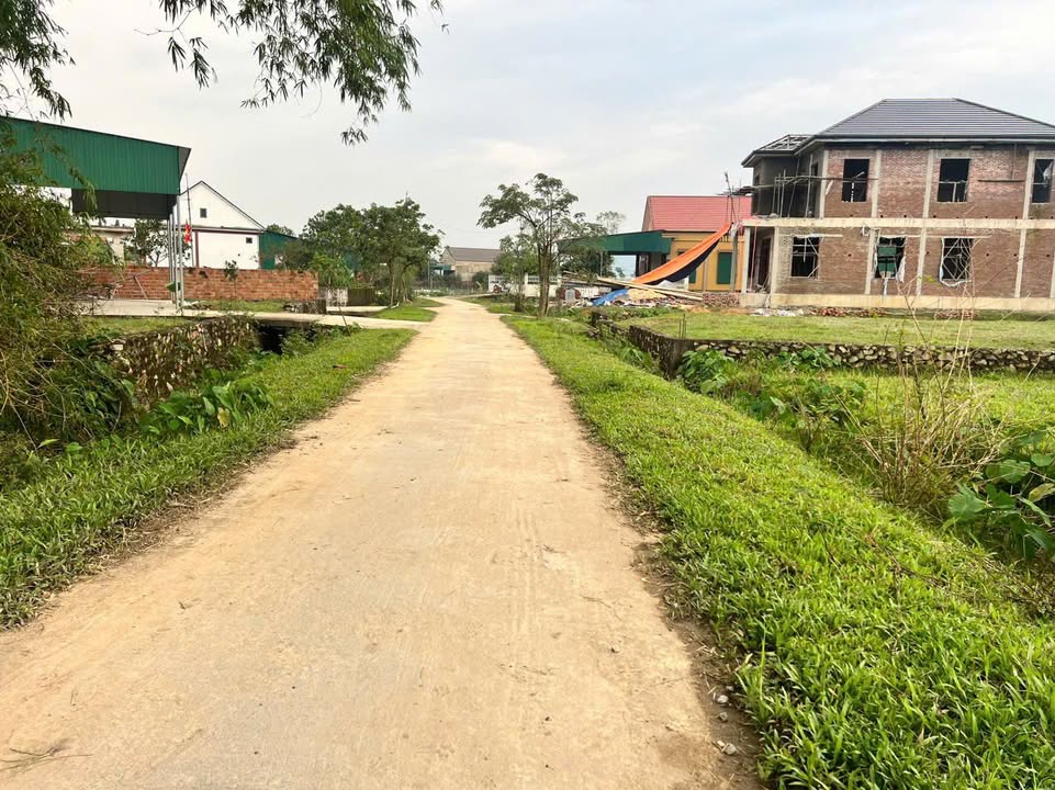 Đất thổ cư thôn Sơn Thủy, Mỹ Lộc, 175m² giá 800 triệu - Cơ hội đầu tư tuyệt vời!