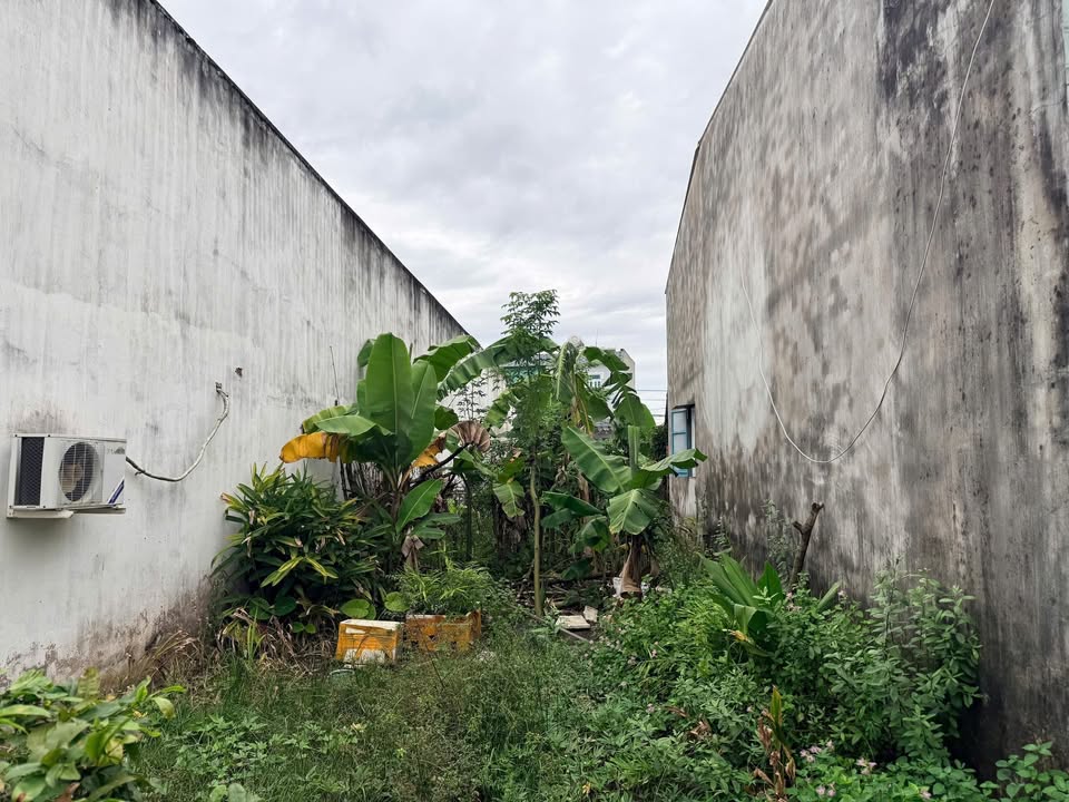 Đất nền Long Thọ, Nhơn Trạch 100m² giá 1.3 tỷ - Sổ hồng chính chủ!