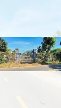 Bán đất thổ cư 1.000m² tại đường Tỉnh Lộ 52, phường Hòa Long, Bà Rịa - Vũng Tàu - Giá chỉ 7.8 tỷ!