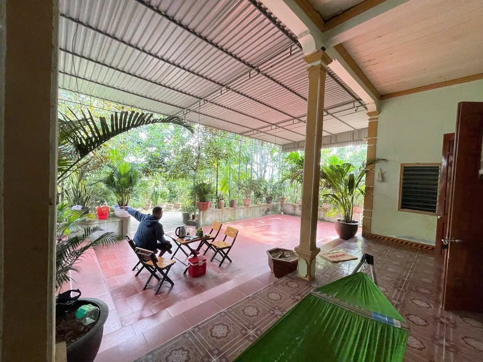 Nhà vườn xóm 1 Nam Sơn, Đô Lương 1.500m² giá chỉ 1.6 tỷ - Đầu tư sinh lời cao!