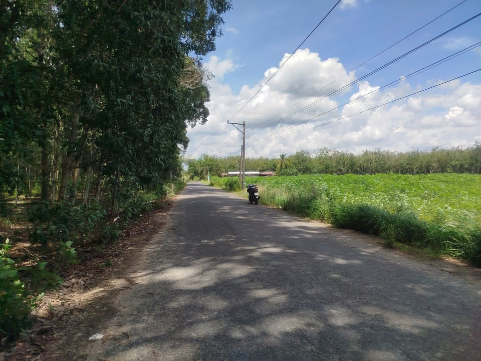 Đất thổ cư Thạnh Tây 1960m² giá 2.9 tỷ - Mặt tiền nhựa, điện nước đầy đủ!