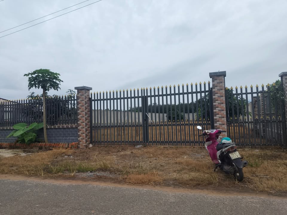 Đất nền Tân Phú, Tân Châu 156m² - Giá chỉ 1.5 tỷ, vị trí đẹp gần đường lớn!