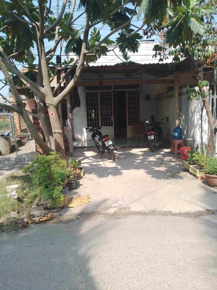 Nhà hẻm 81 Trần Phú, Hòa Thành, 114m² giá 870 triệu - Cơ hội đầu tư lý tưởng!