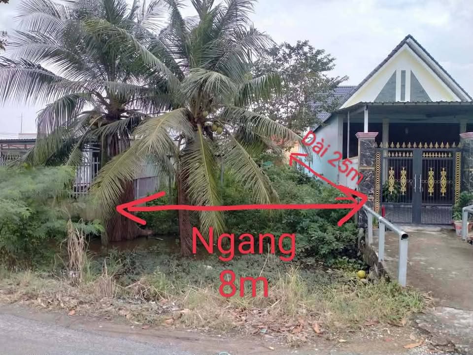 Lô đất mặt tiền 5m tại xã Thuận Thành, huyện Cần Giuộc - 200m² giá 2.5 tỷ - Có thương lượng