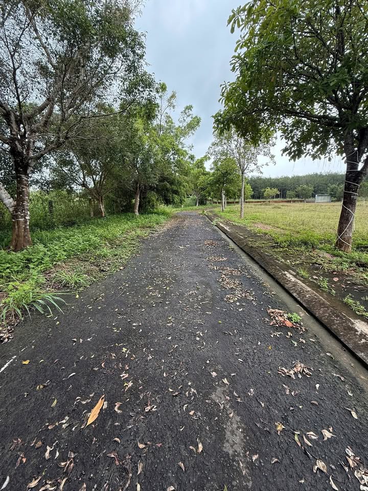 Đất nền khu Hoàng Thành Đăk Cấm 160m² giá 700 triệu - Cơ hội đầu tư hấp dẫn!