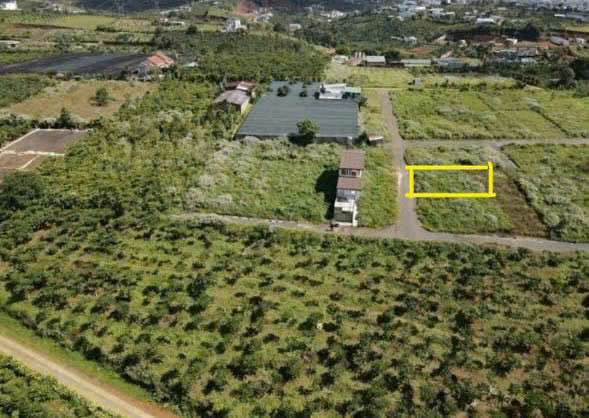 Đất nông nghiệp hẻm 123 Mạc Đĩnh Chi Bảo Lộc 108m² giá 1.1 tỷ - Chính chủ bán gấp!