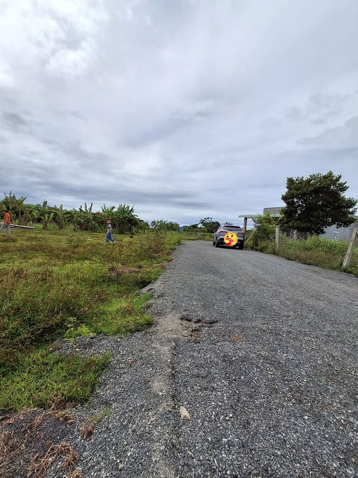 Đất nền Đá Bạc 300m² giá chỉ 595 triệu - Đường mới nâng cấp