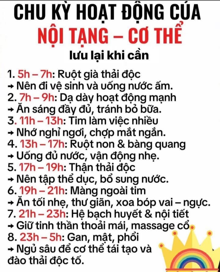 Đất nền Hòa Liên 100m² giá chỉ 3.25 tỷ - Vị trí đẹp, hạ tầng hoàn thiện!