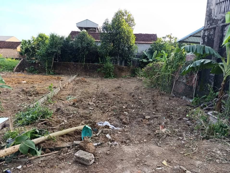 Đất nền Tân Xã Thạch Thất 1002m² - Đầu tư sinh lời gần trường học!