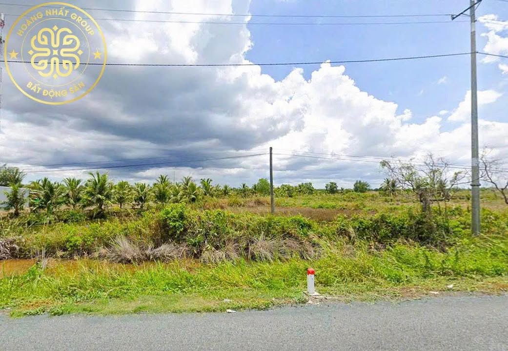 Đất nền mặt tiền QL1A Phú Hưng Cái Nước 723m² giá 2 tỷ - Cơ hội đầu tư sinh lời!